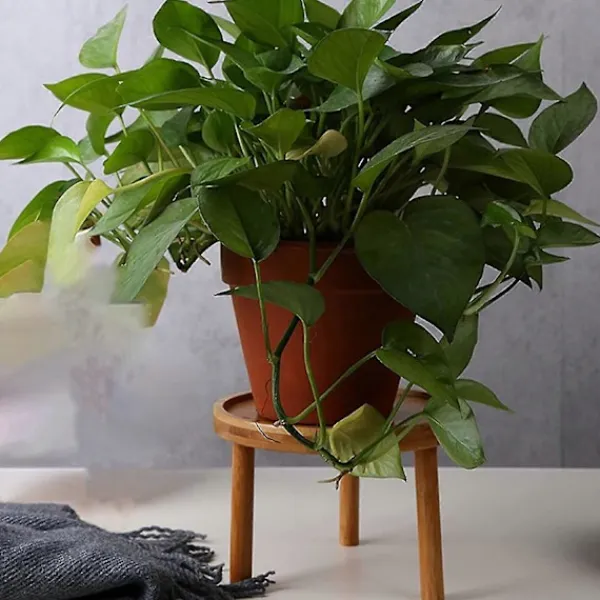 Pallar>Blomkrukställ i trä - Hög pall för balkong - Rund hylla för inomhus- och utomhusbruk (8x8x7cm)