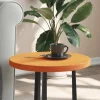 vidaXL Småbord>Bordsskiva rund vaxad brun Ø40x2,5 cm massiv furu