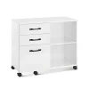 Rootz Living Kontorsmöbler>Rootz rullbehållare med träfiberfinish - Förvaringsvagn - Mobil organisering - Spånskiva och metallkonstruktion - 40 cm x 80 cm x 66 cm - 22,2 kg Vikt | Fyndiq