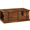 Rootz Living Kistor & Koffertar>Rootz soffbord 100x60x40 cm kistbord i massivt sheeshamträ med v