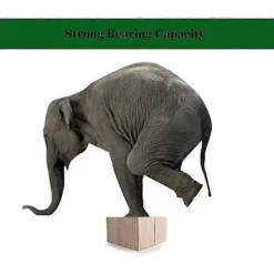 Pallar><noscript><img width=