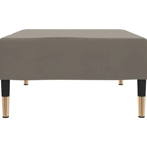 vidaXL Pallar>Fotpall ljus 78x56x32 cm sammet