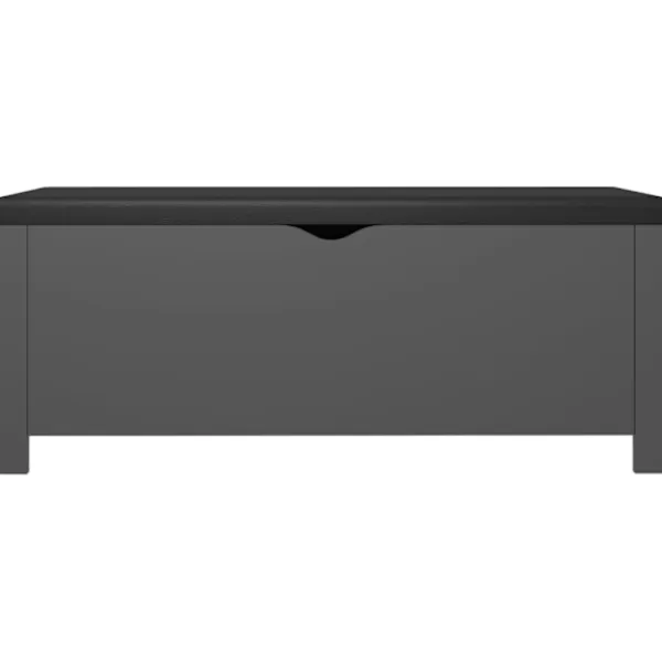 vidaXL Kistor & Koffertar>Förvaringsbänk med dyna 105x40x45 cm konstruerat trä
