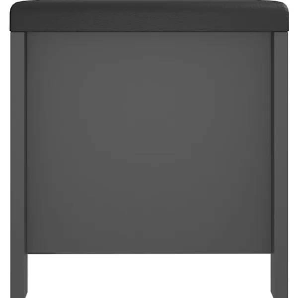 vidaXL Kistor & Koffertar>Förvaringsbänk med dyna 105x40x45 cm konstruerat trä