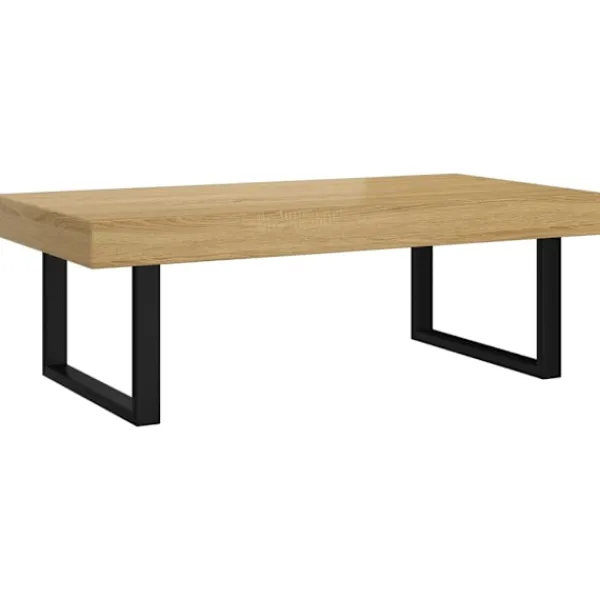 vidaXL Soffbord>Soffbord ljus och svart 120x60x40 cm MDF och järn