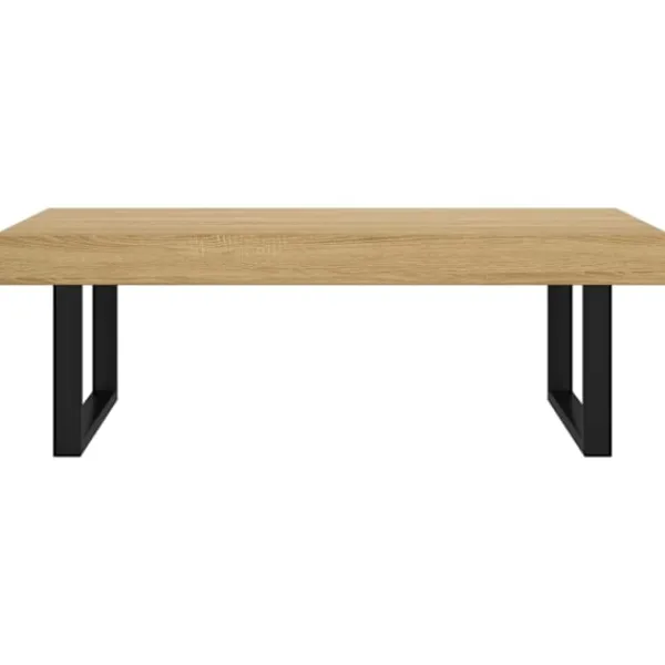 vidaXL Soffbord>Soffbord ljus och svart 120x60x40 cm MDF och järn
